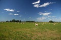Free Estonian Landscape Stock Photo - 1142000