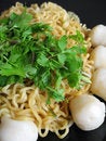 Free Stir-fry Noodles Stock Photo - 1144880