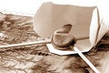 Free Take Out Fortune V Sepia Royalty Free Stock Photo - 1145985