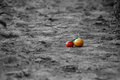 Free Grounded Tomatoes Stock Photos - 1146043