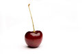 Free Cherry Royalty Free Stock Images - 1157329