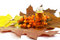 Free Berries Of Sea-buckthorn Berries And Medical Oil Royalty Free Stock Photography - 11536087