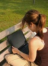 Free Student Working On Laptop Royalty Free Stock Photography - 1164657