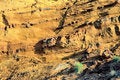 Free Cliff Texture Stock Photography - 1164692