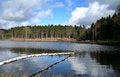 Free Trees And Lake Stock Images - 1165684