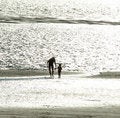 Free Together On The Beach Royalty Free Stock Image - 1167856
