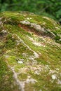 Free Flowing Boulder Royalty Free Stock Photography - 1168487