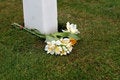 Free Normandy American Cemetery At Omaha Beach, France. Royalty Free Stock Photos - 1168618
