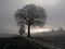 Free Winter Light Stock Photos - 1171273