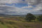 Free Moorland Royalty Free Stock Photos - 1173048