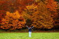 Free Wow, Autumn Stock Image - 11781801
