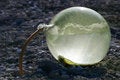 Free Sulphur Fumes Stock Photo - 1182810
