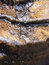 Free Water Rock Stream Stock Image - 1184221