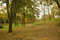 Free Park Landscape Foliage Royalty Free Stock Images - 11844499