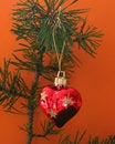 Free Xmas Royalty Free Stock Image - 1196136
