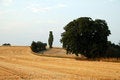 Free Late Summer Stock Photos - 1199353