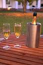 Free Celebration For Two Royalty Free Stock Image - 123586
