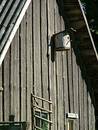 Free Old Cottage Bird-house Royalty Free Stock Images - 125579