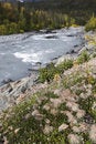 Free Fall River Landscape, Shallow DOF Stock Photos - 1200133