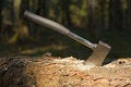 Free Sticked Wood Axe Royalty Free Stock Photo - 1207135