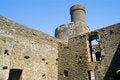 Free Castle Tower And Walls Stock Photos - 1209103