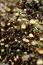 Free Northern Lichen Stock Images - 1201374