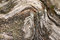 Free Old Rotten Wood Royalty Free Stock Photos - 1201378