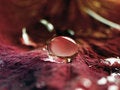 Free Drop Stock Photography - 1214822