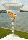 Free Vodka Drink By The Sea Royalty Free Stock Image - 1214916