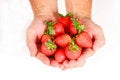 Free Handful Of Strawberries Royalty Free Stock Image - 1221966