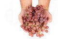 Free Handful Of Red Seedless Grapes Stock Images - 1229004