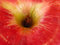 Free Abstract Apple Hole Royalty Free Stock Image - 1225976