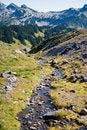 Free Stream Of Glacier Melt Along The Hiking Trail Of Mt. Rainier Stock Photography - 1239542