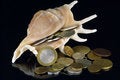 Free Coins In A Bowl Stock Photo - 12321070
