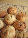 Free Homemade Cookies Royalty Free Stock Images - 1240379