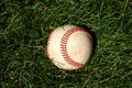 Free Baseball Royalty Free Stock Photography - 1242907
