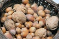 Free Hazel Nuts And Walnuts Royalty Free Stock Photo - 1243765
