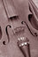 Free Old Dirty Violin Stock Image - 1247351