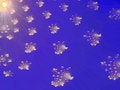 Free The Sun Lambs. Royalty Free Stock Image - 1255326