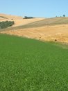 Free Tuscany Royalty Free Stock Photos - 1258898