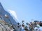 Free Mt. Fuji And Sakura Stock Photography - 1256092