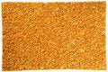 Free Salty Crispbread Background Texture Royalty Free Stock Photos - 12515508