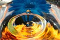 Free Water Drop Stock Images - 12528664