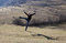Free Happy Young Woman Jumping Royalty Free Stock Photography - 12524157