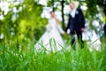 Free Blurry Silhouettes Of Newlyweds Stock Images - 12539084
