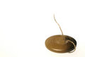 Free Button And Broken Thread Stock Photos - 1262843