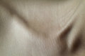Free Skin Stock Images - 1264324