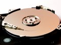 Free Harddisk Data Royalty Free Stock Photography - 1266017