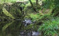 Free Old Bridge Stock Photos - 1268253