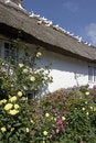 Free England Devon Jurassic Coast Branscombe Village Royalty Free Stock Photo - 1268515